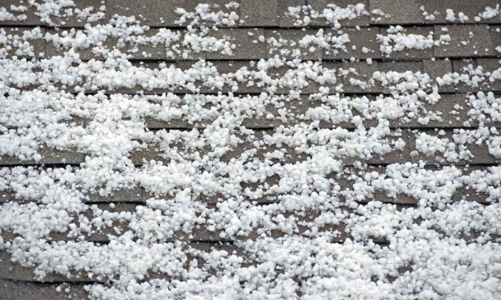 Small hailstones scattered across asphalt shingles, showing how impact can strip granules and start early roof wear.