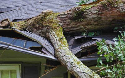 Denver Roof Damage Insurance Claim Guide | File Fast After a Storm