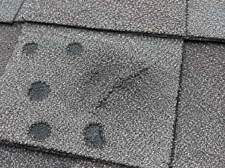 Close-up of an asphalt shingle with hail-displaced granules exposing the black mat and a visible impact fracture.