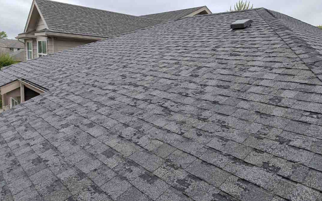 Why Roof Insurance Claims Get Denied in Colorado and How to Appeal