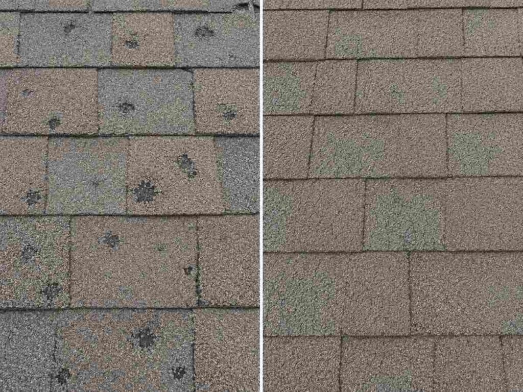 Fresh hail bruises with exposed asphalt beside uniform age thinning, showing how storm damage differs from wear.